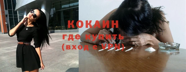 крисы Мегион