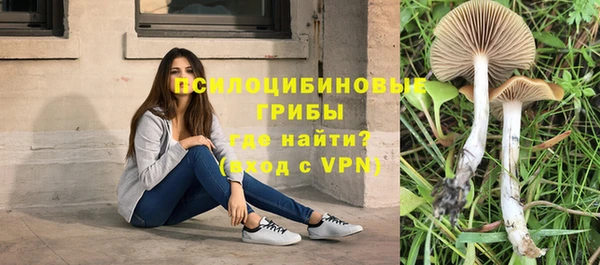 а пвп мука Алзамай