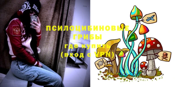 а пвп мука Алзамай
